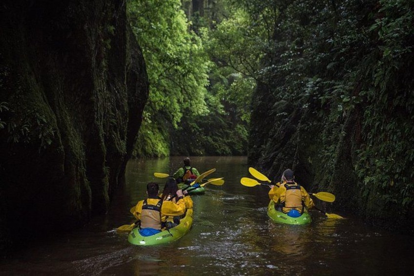 Twilight Glowworm Kayak Tour – Lake Karapiro 1