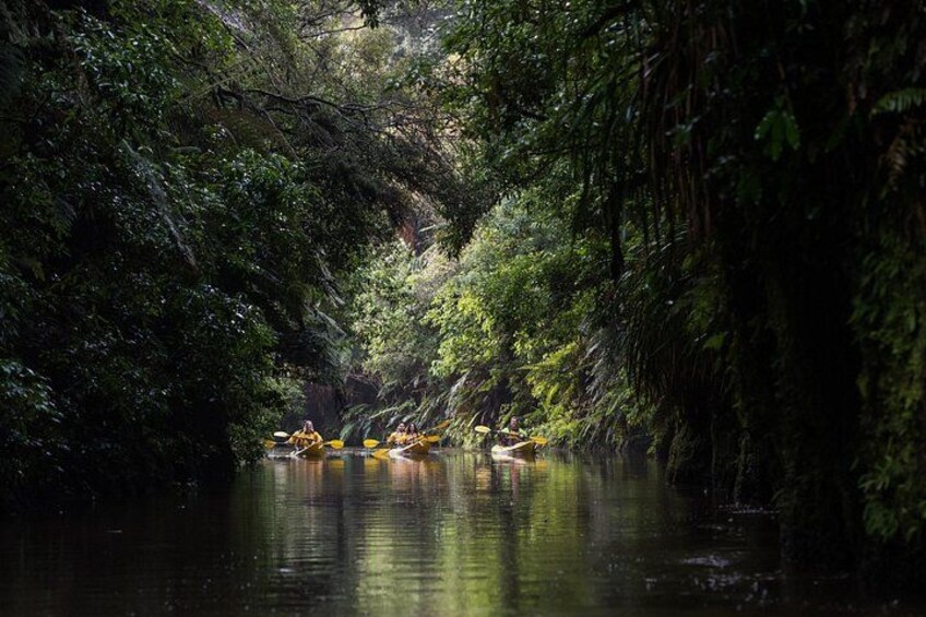 Twilight Glowworm Kayak Tour – Lake Karapiro 5