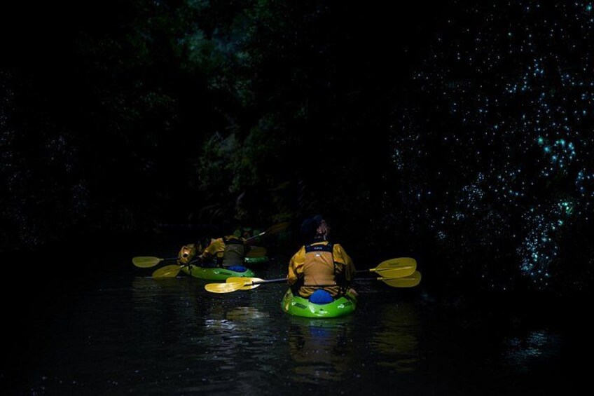 Twilight Glowworm Kayak Tour – Lake Karapiro 2