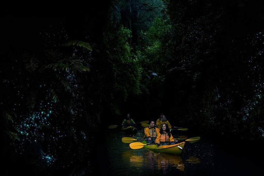 A group of people kayaking in a forested area at night. 1