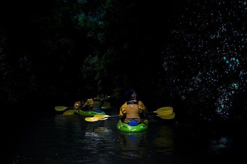 Twilight Glowworm Kayak Tour – Lake Karapiro 4