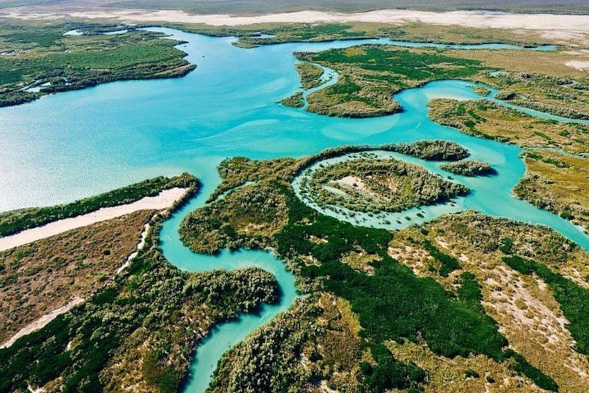Un área de manglar costero con canales serpenteantes y densa vegetación verde. 2