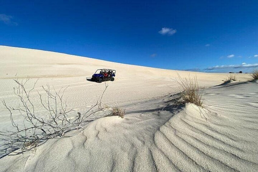 Small-Group Buggy Tour at Little Sahara with Guide 3