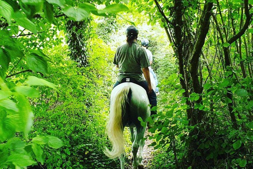 Horseback Riding In Bled 3