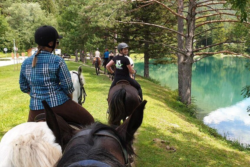 Horseback Riding In Bled 5