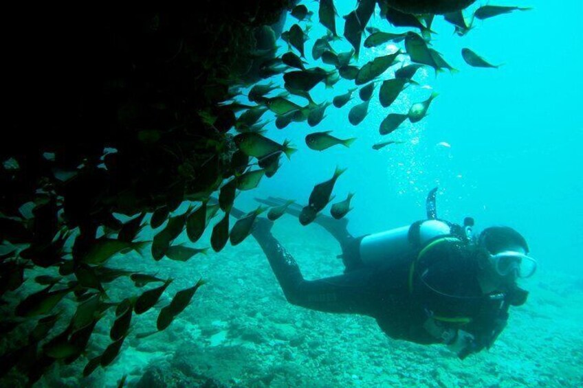 Ningaloo Reef Double Dive Tour