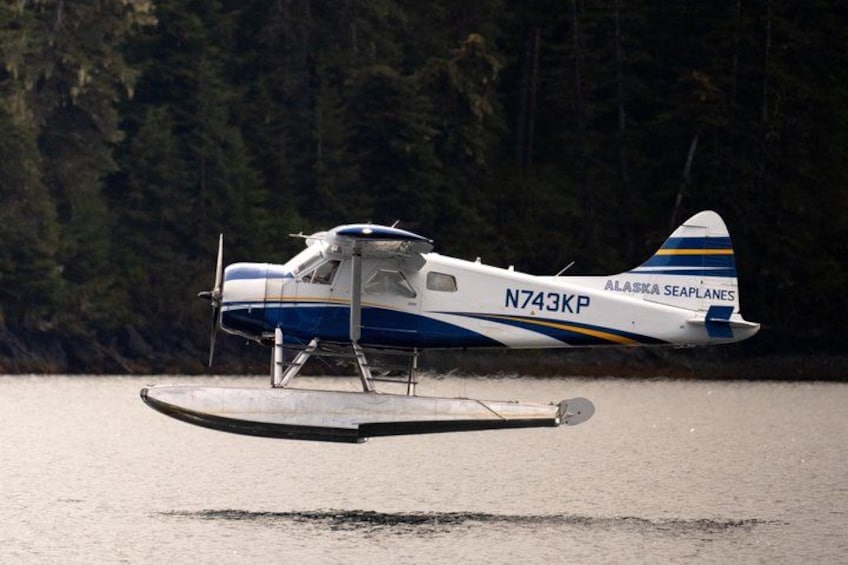 Un hydravion immatriculé N743KP, posé sur une étendue d’eau, entouré d’une zone boisée. 5
