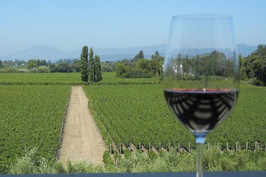 Winery View 1