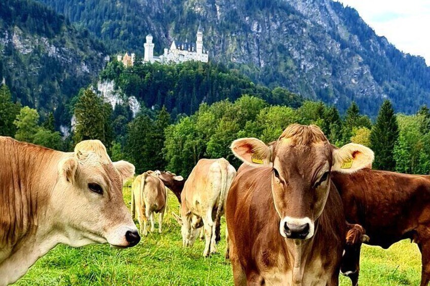 From Füssen: Neuschwanstein, Linderhof, and More Private Tour 1