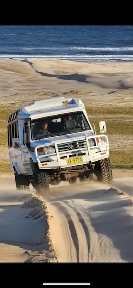 Picture 15 for Activity Port Stephens: Unlimited Sandboarding with 4WD Dune Transfer 2