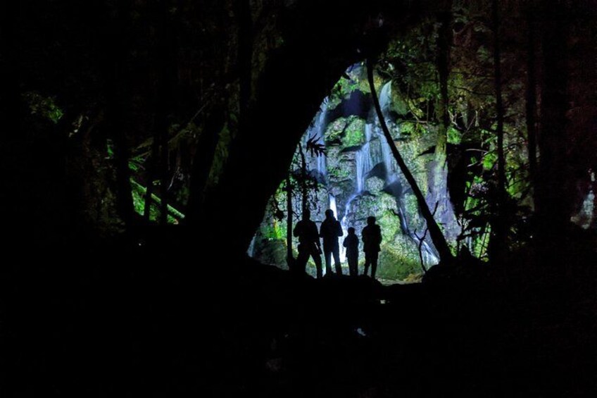 Nocturnal adventure Glow-worm tour 4