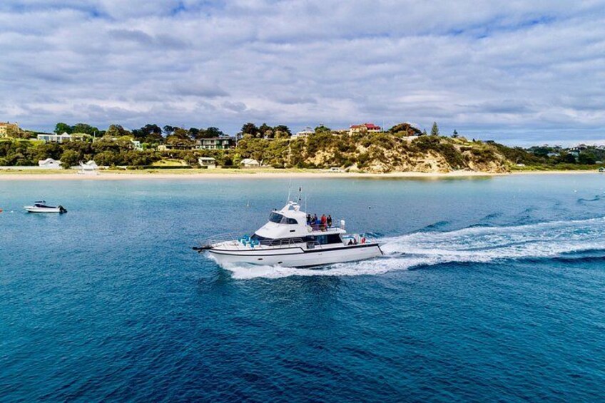 A white yacht on a calm sea with a beach and houses in the background. 3