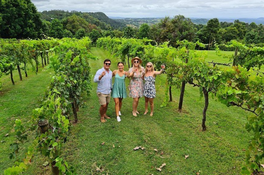 Experience beautiful hinterland vineyards 4