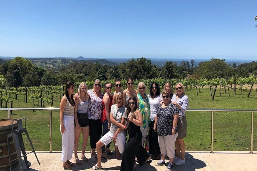 Beautiful hinterland vineyard 2