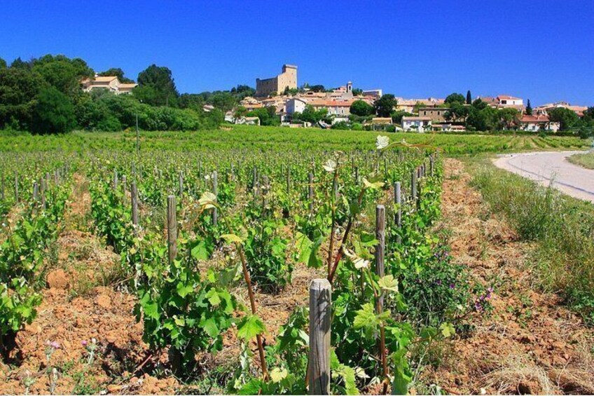 Half Day Great Vineyard Tour from Avignon 5