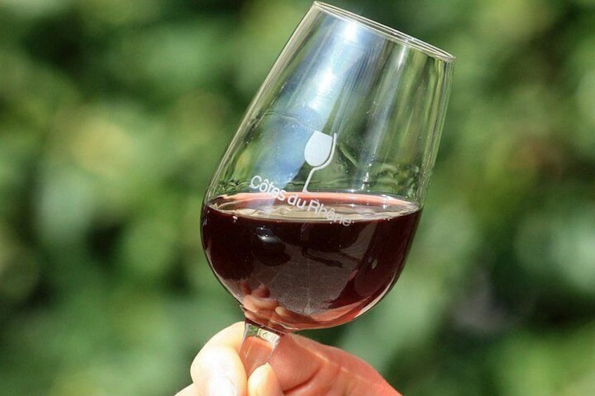 Half Day Great Vineyard Tour from Avignon 4
