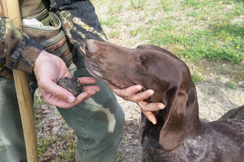 Truffle Hunt & Bio Lunch in Assisi 1