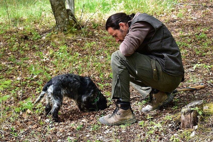 Truffle Hunt & Bio Lunch in Assisi 4