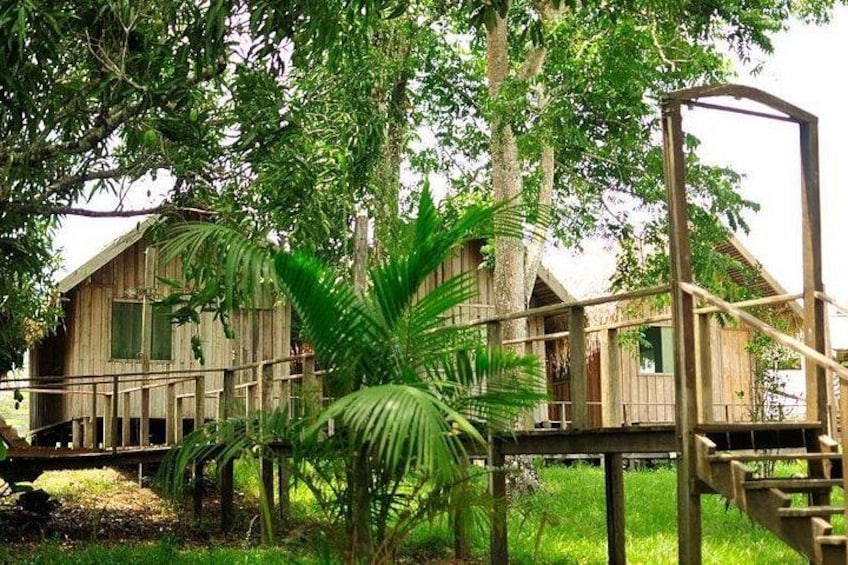 A wooden house with a balcony, surrounded by lush greenery and trees. 5