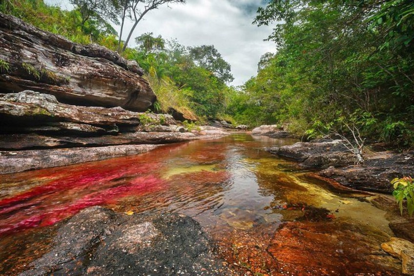 A river with red and yellow hues, surrounded by rocky terrain and dense greenery. 1