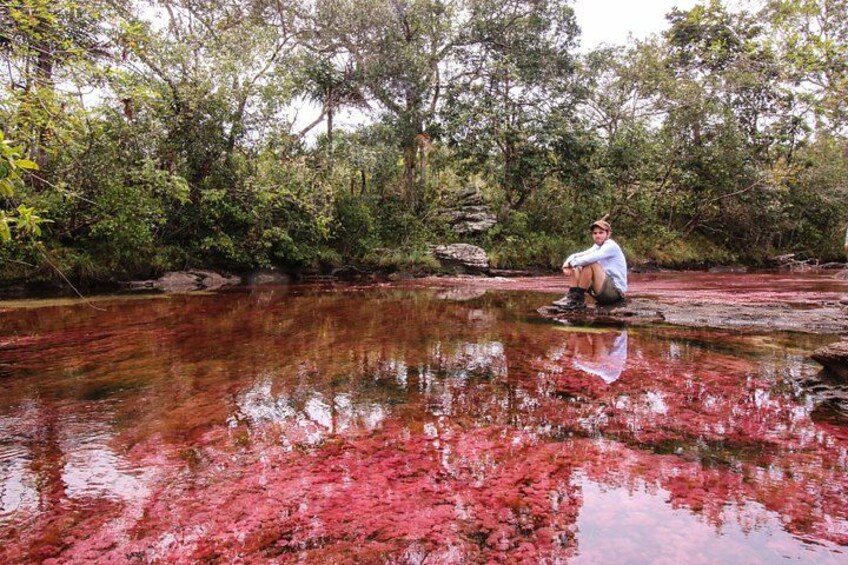 A person sitting on a rock by a red-tinged water body surrounded by dense greenery. 3