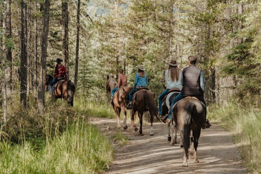 Buffalo Loop 1-Hour Horseback Trail Ride in Kananaskis 3