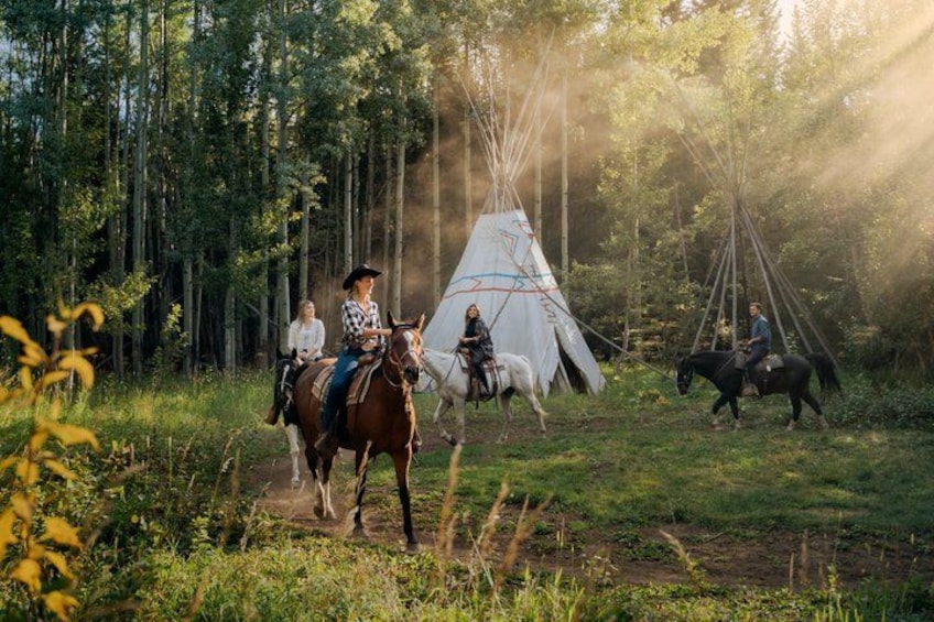 Buffalo Loop 1-Hour Horseback Trail Ride in Kananaskis 4