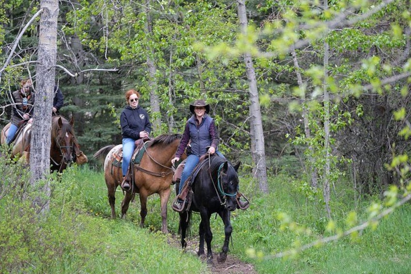 Buffalo Loop 1-Hour Horseback Trail Ride in Kananaskis 1