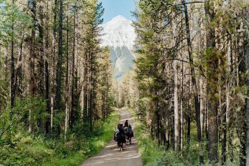 A forested path with people riding horses, a clear sky, and a mountain in the background. 1