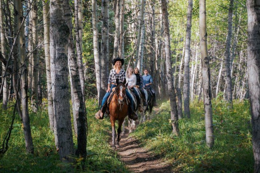 Buffalo Loop 1-Hour Horseback Trail Ride in Kananaskis 1