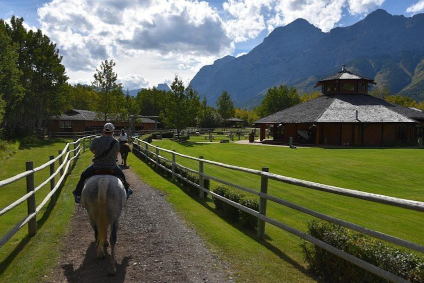 Buffalo Loop 1-Hour Horseback Trail Ride in Kananaskis 2