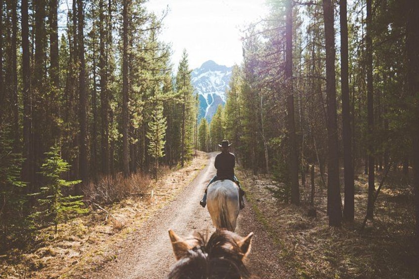 Buffalo Loop 1-Hour Horseback Trail Ride in Kananaskis 4