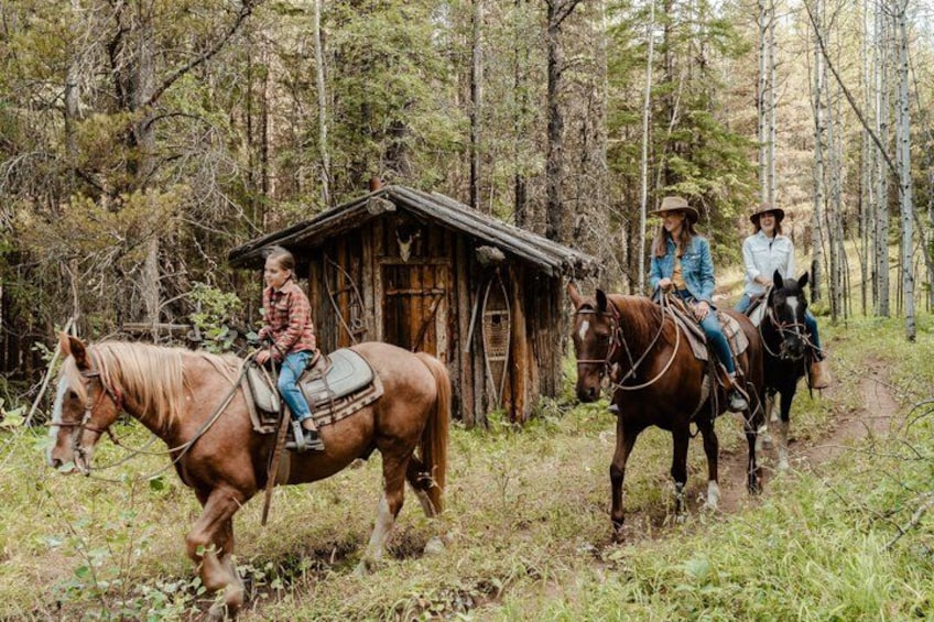 Buffalo Loop 1-Hour Horseback Trail Ride in Kananaskis 5