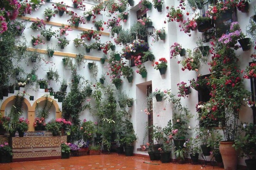 Cordoba Highlights: Guided Day Tour from Seville 3