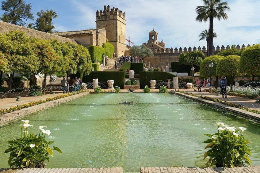 A historic castle with a moat, palm trees, and a clear sky. 2