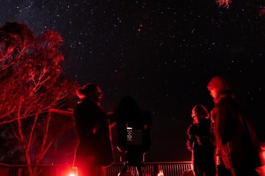 A group of people observing the night sky, with a tree and a railing visible in the foreground. 2