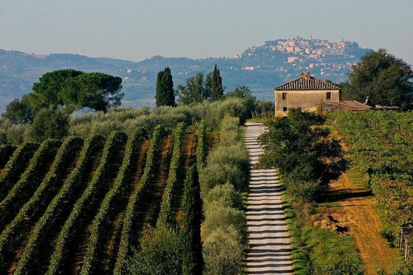 Wine lovers experience in Montepulciano: full day 1