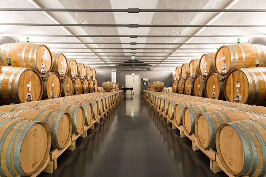 Wine lovers experience in Montepulciano: full day 2