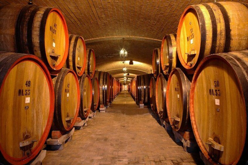Wine lovers experience in Montepulciano: full day 4