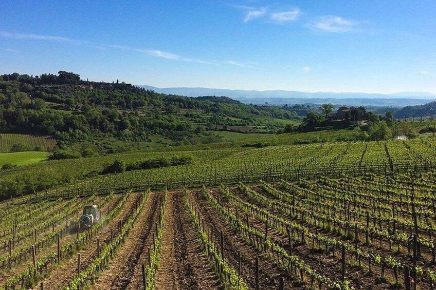 Wine lovers experience in Montepulciano: full day 3