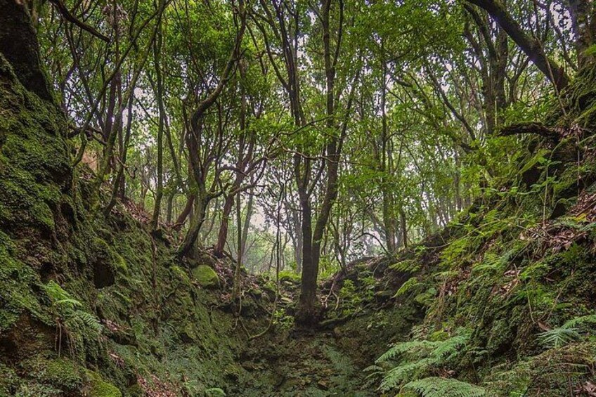 Caldeirão Verde Levadas Walk in Madeira 4