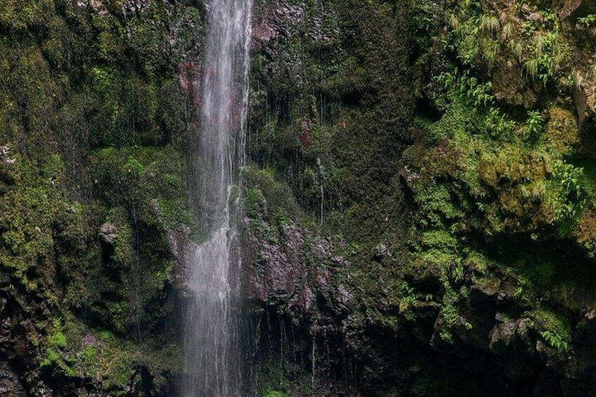 Caldeirão Verde Levadas Walk in Madeira 2