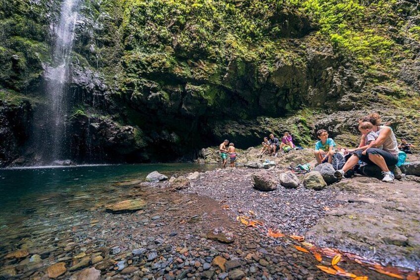 Caldeirão Verde Levadas Walk in Madeira 2