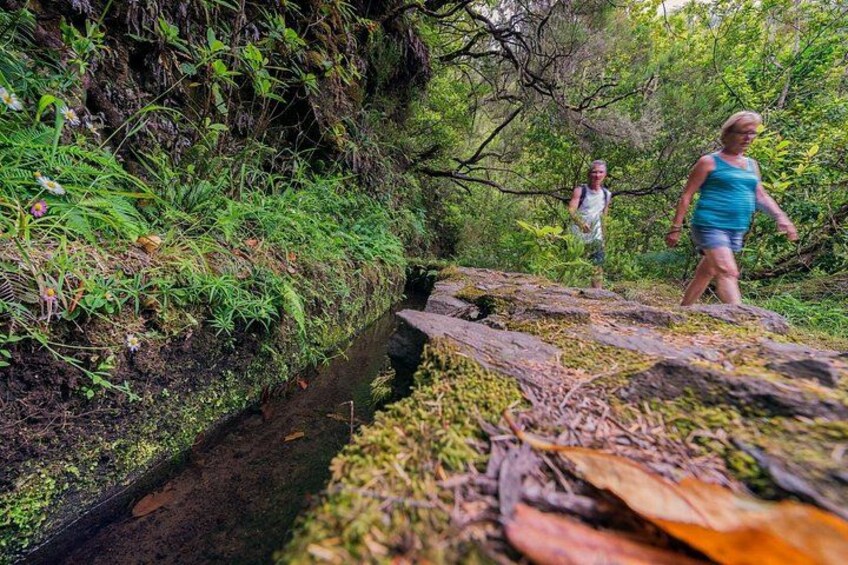 Caldeirão Verde Levadas Walk in Madeira 3