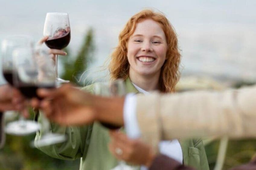 Napier/Hawke's Bay Premium Wineries +Beer tour -5.0 - 5.5 hours 1