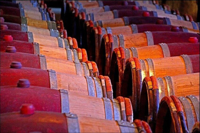 Cruise ship: Napier Art Deco-Premium Wineries +Beer, Cider tour 2