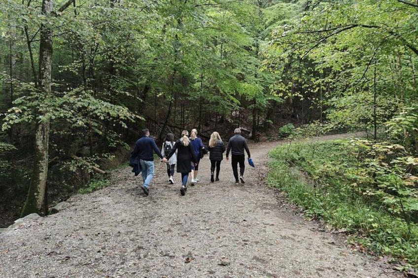 Un groupe de personnes marchant sur un sentier de gravier dans une zone boisée. 2