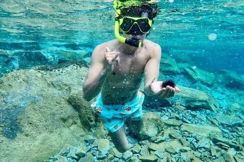 Snorkeling Gear 1