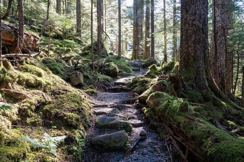 Natural tread trail 3