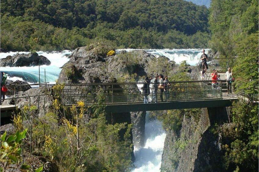 Full-Day Osorno Volcano and Petrohue Falls Small-Group Tour 1